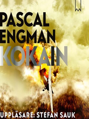 cover image of Kokain